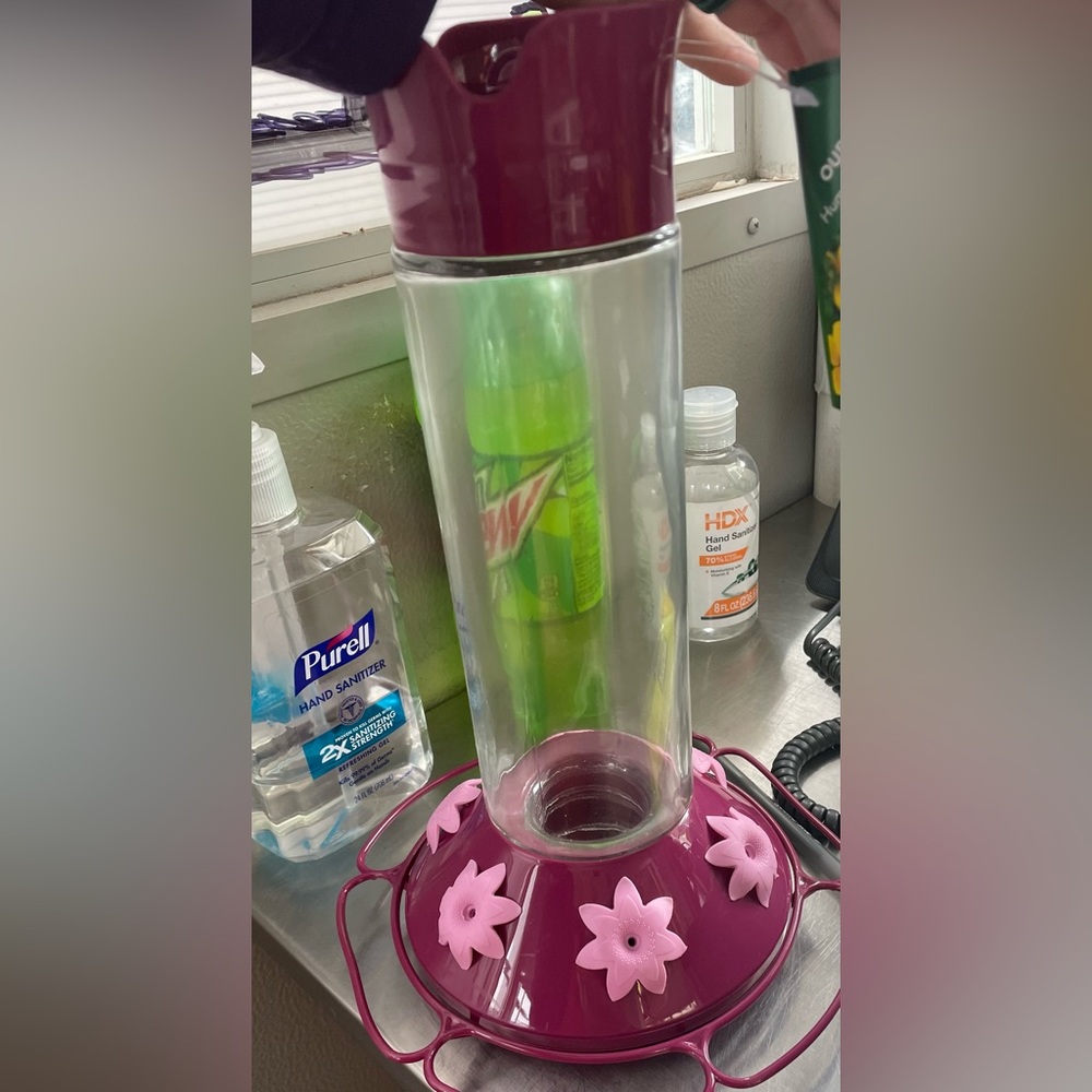 Hummingbird feeder